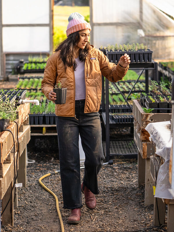 Toad & Co Miraculous Canvas Cutoff Pants