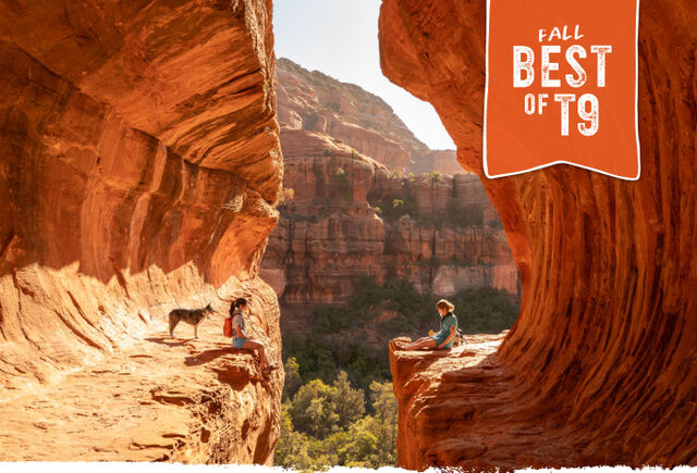 top gear tested and trusted by the women of t9